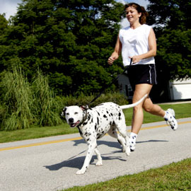 Exercise with your dog to lose weight after lap band.