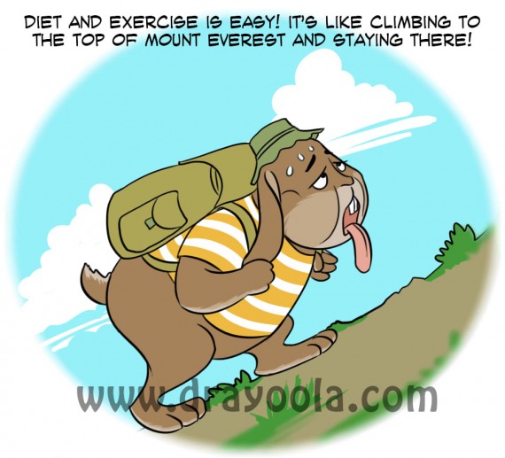 When diet and exercise do not work